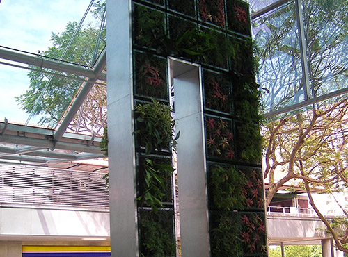 Lot 1 Feature Wall